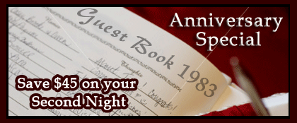 Anniversary Special