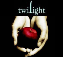 Twilight Lodging Package