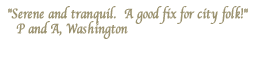 Quotes from Guests
