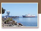 Learn about our area